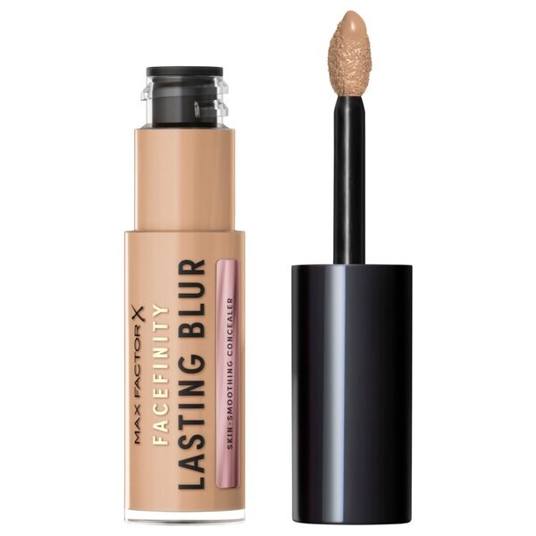 Max Factor Lasting Blur Concealer Facefinity W6 Sand