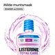 Listerine Bain de Bouche Total Care Mild Mint