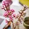 LEGO Botanicals Les Fleurs de Cerisier 40725