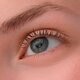Catrice Glam & Doll Curl Freeze 010 Transparent Black Lash Sculpt Gel
