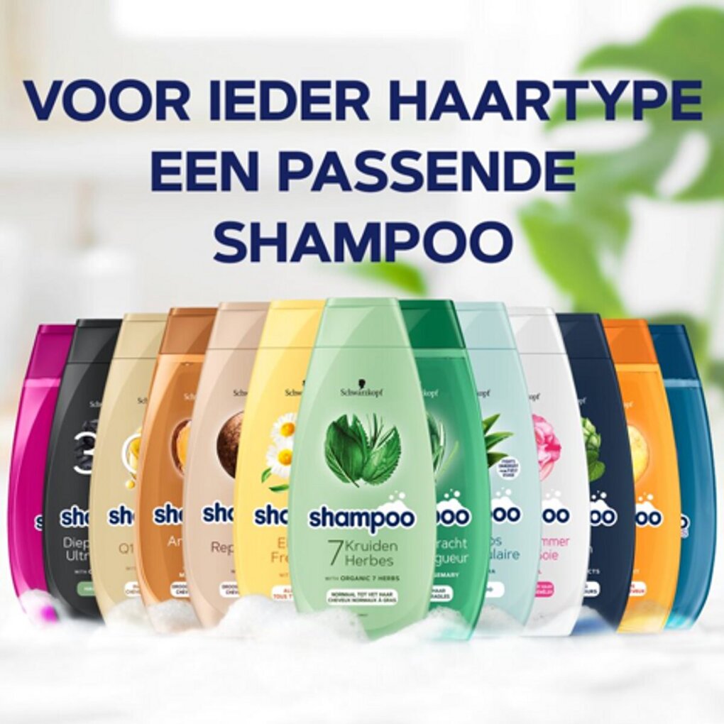 Schauma Argan Oil & Repair Shampoo