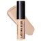 Max Factor Lasting Blur Concealer Facefinity N2 Ivory