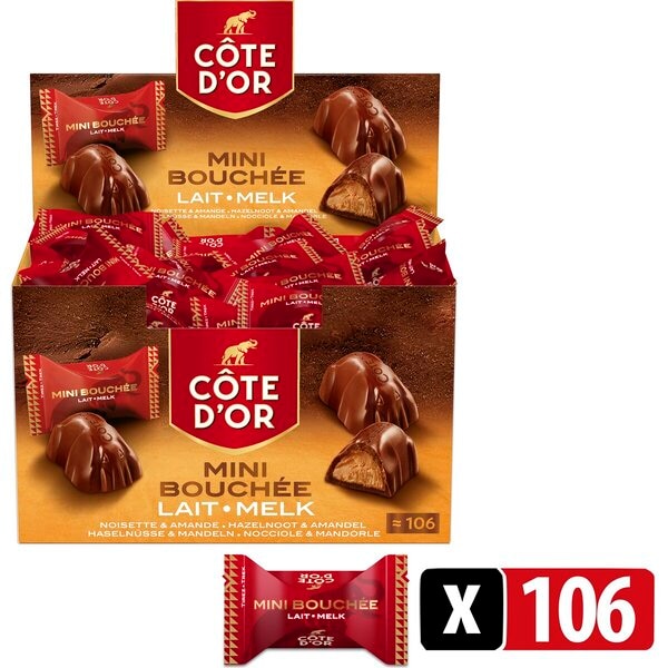 Côte d'Or Chocolade Mini Bouchée Pralines 106 stuks