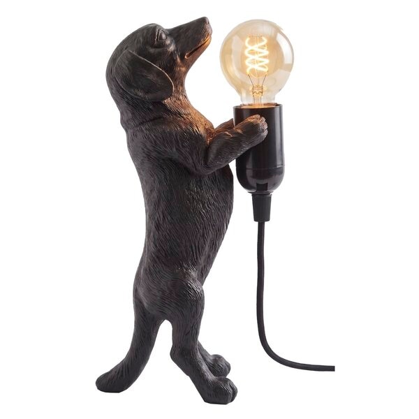 Lampe Teckel