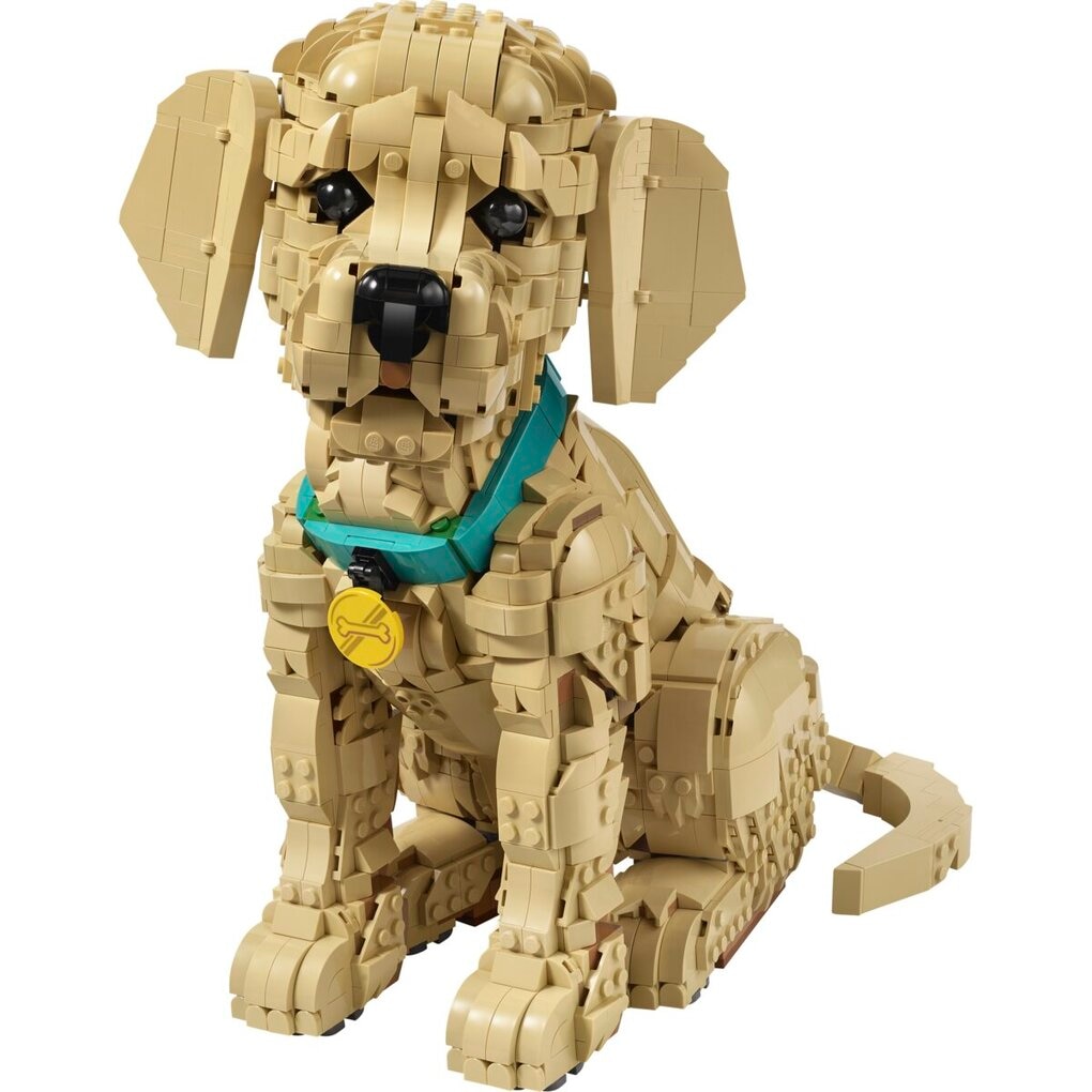 LEGO Icons Le Chiot Golden Retriever 11384