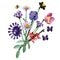 LEGO Botanicals 11507 Bouquet de Fleurs d’Olivia Rodrigo