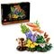 LEGO Botanicals 11505 Les Champignons des Bois