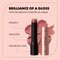 Catrice Glass Like 040 Red Carpet Game Gloss Stick