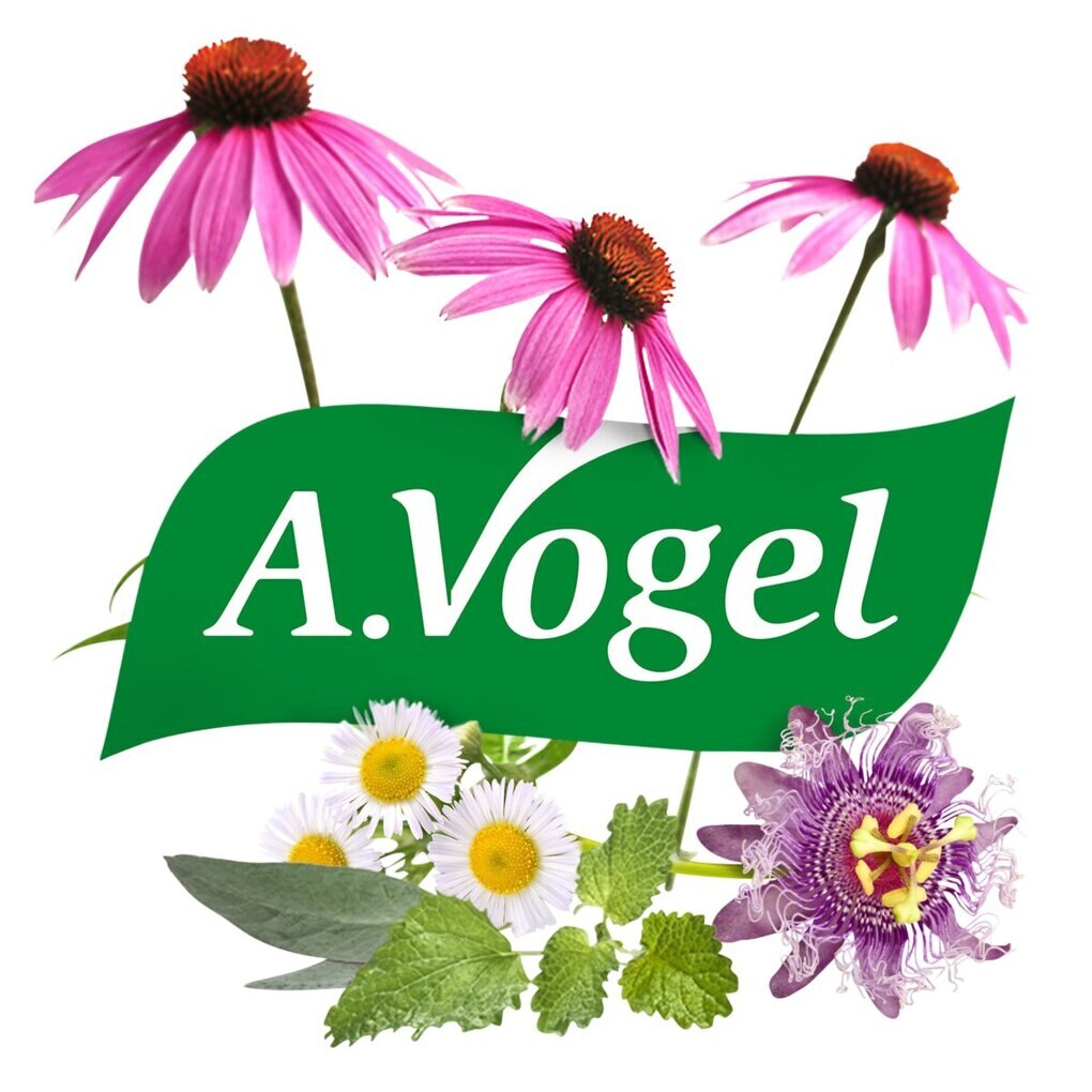 A.Vogel Echinaforce Hot Drink