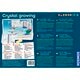 Kosmos Crystal Growing