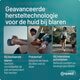 Compeed Extreem Blarenpleisters