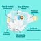 Pampers Premium Protection Maat 3 Luiers