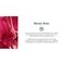 Therme Anti-Transpirant Spray Mystic Rose