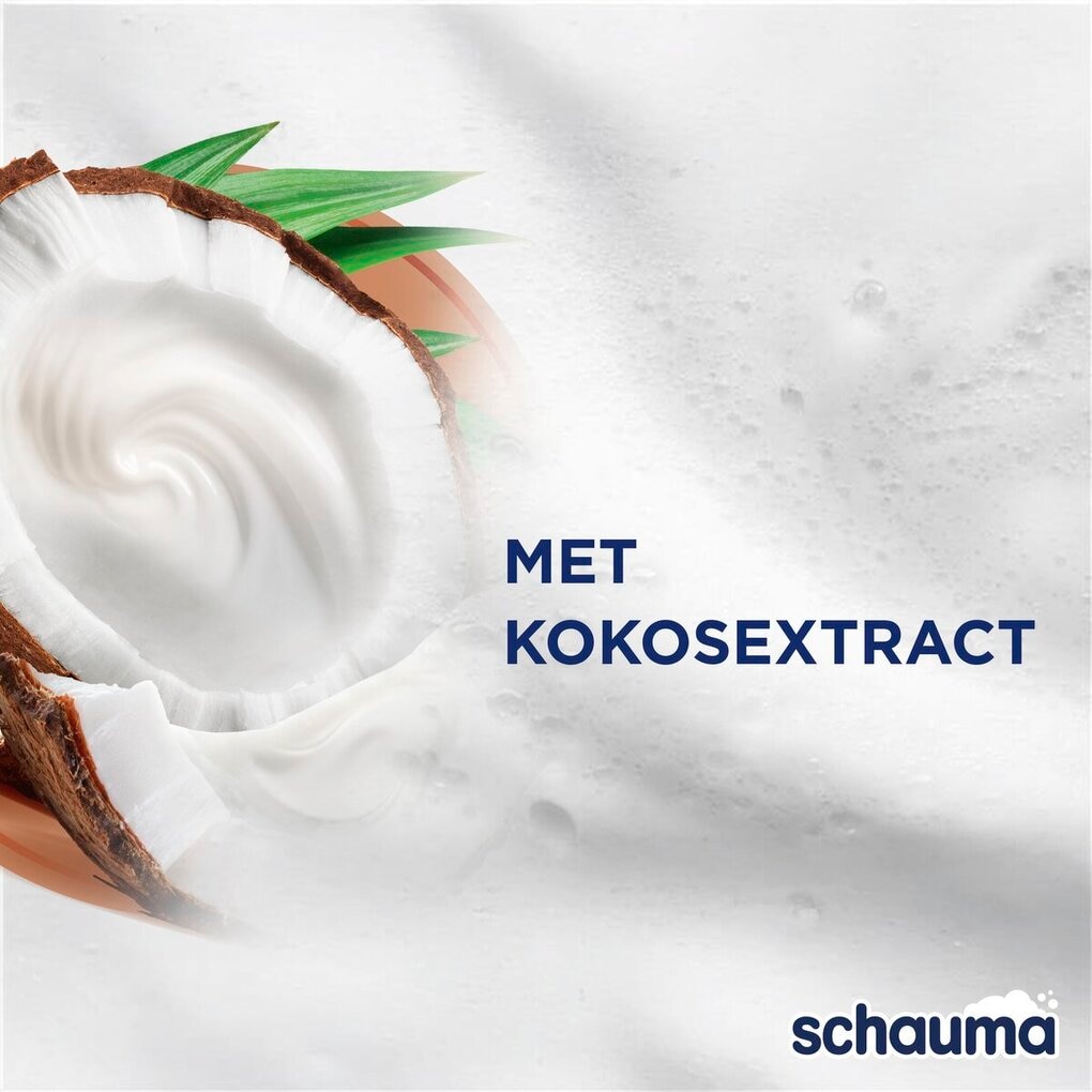 Schauma Repair & Care Shampoo