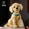LEGO Icons Le Chiot Golden Retriever 11384