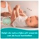 Pampers Lingettes Bébé 99% Water