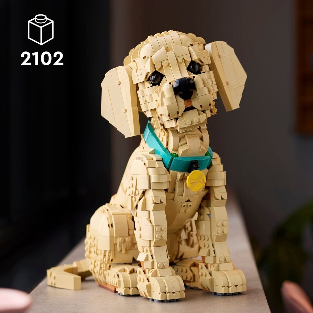 LEGO Icons Le Chiot Golden Retriever 11384