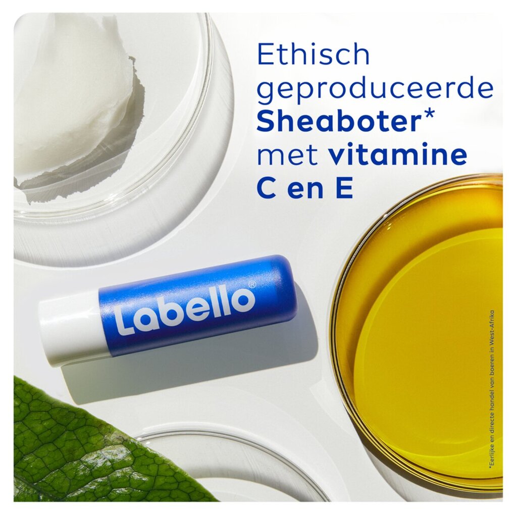 Labello Baume à Lèvres Original