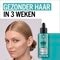 Gliss Scalp Moisturizing