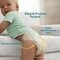 Pampers Couches Baby-Dry Taille 4