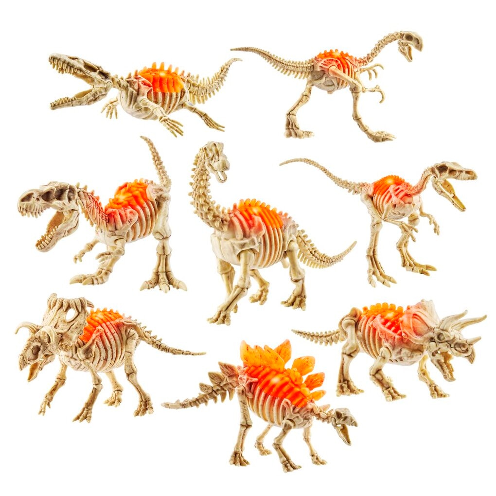Zuru Alive Dino Fossil Find!