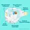 Pampers Couches Premium Protection Taille 7