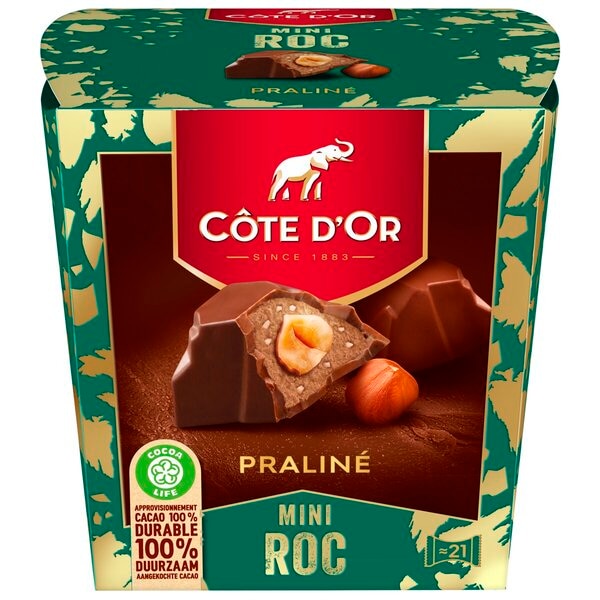 Côte D'Or Mini Roc Praliné