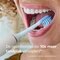 Philips Sonicare Brossettes Premium Plaque Defence HX9042/87