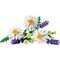 LEGO Botanicals 11508 Madeliefjes