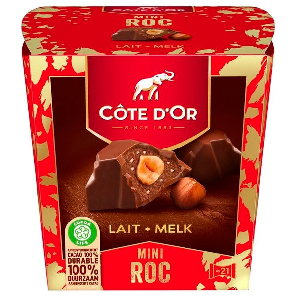 Côte D'Or Mini Roc Chocolat au Lait