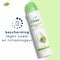Dove Advanced Care Matcha Green Tea Antitranspirant Deodorant Spray