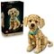 LEGO Icons Le Chiot Golden Retriever 11384
